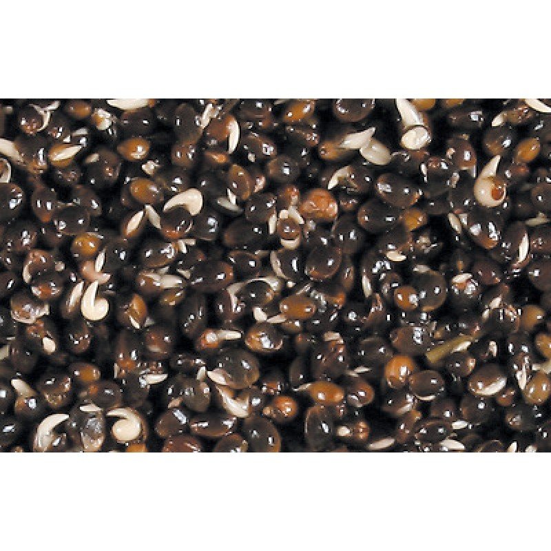 Natural Hanf – Bild 2