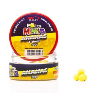 Ananas Minis