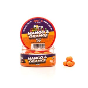 Mango & Orange Dumbells 6mm