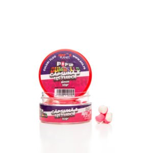 Dumbells Bicolor Erdbeere & Knoblauch 6mm