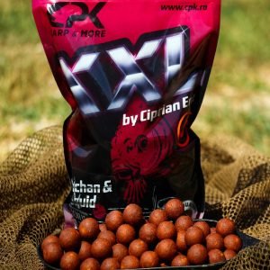 XXL Belachan & Squid Boilies