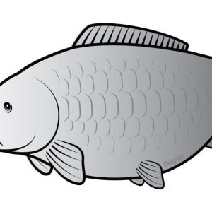 Aufkleber Karpfen SILVER