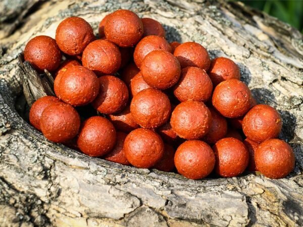 Knoblauch IQ HIGH Boilies – Bild 2