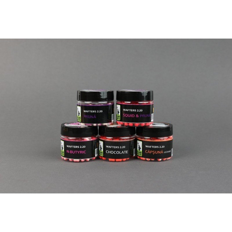 Squid&Pflaume Wafter 6mm – Bild 2