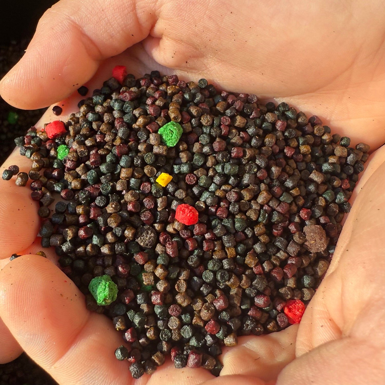 Limited Edition Pellets Mix-5kg – Bild 4