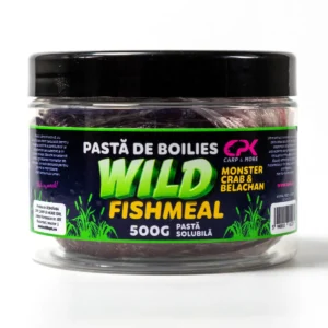 bolies-paste wild-belachan