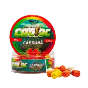 Erdbeere "Cocioc" Wafters 12mm