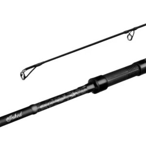 delphin_inked_carp