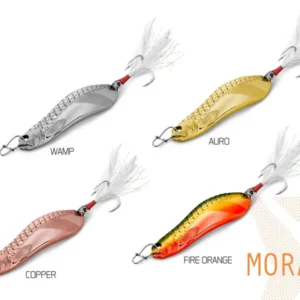 blinker_delphin_mora