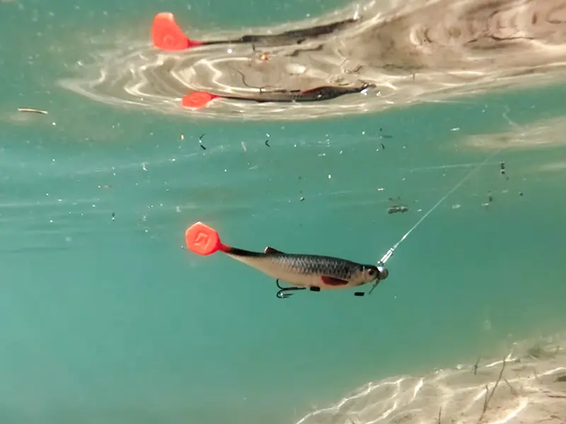 delphin_kunstköder_realix_3d_3